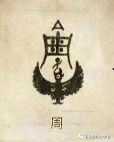 周姓最新爆料人是谁,揭秘神秘爆料人身份之谜