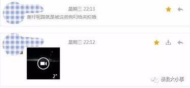 怎么看最新爆料记录视频,视频记录背后的真相揭晓