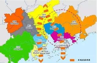 东莞大湾区爆料案件最新,惊天大案背后真相揭晓
