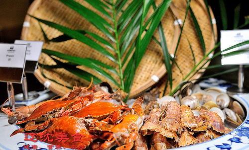 爆料沈阳最新自助餐,网红美食盛宴，一价全包畅享不停！