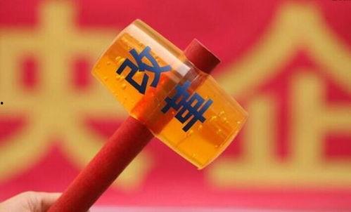 沙井卓越爆料最新消息,最新热点事件深度解析