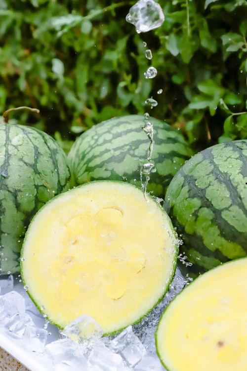 黑瓜吃料每日最新爆料166,揭秘166背后的惊人真相