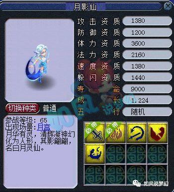 梦幻测试服最新爆料,揭秘神秘技能与全新玩法