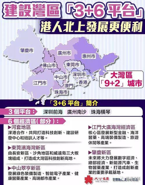 大湾区媒体爆料案例最新,揭秘新闻背后的真相与挑战