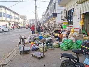 王庄最新爆料消息今天,揭秘今日热点事件内幕