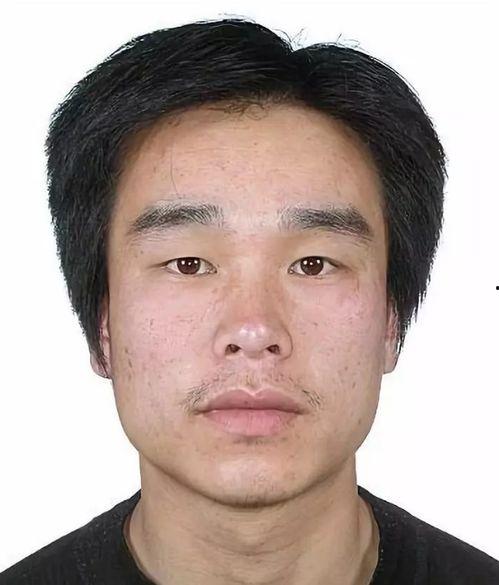 小郭最新爆料新闻报道,最新新闻报道揭秘