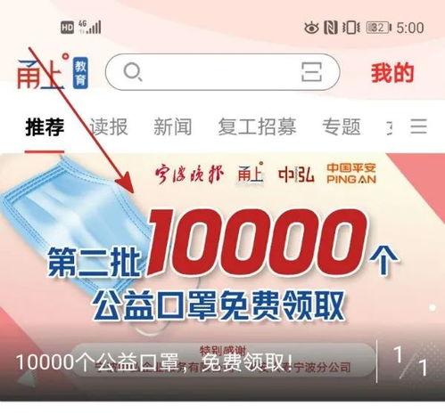 宁波口罩最新爆料,揭秘生产链与市场动态